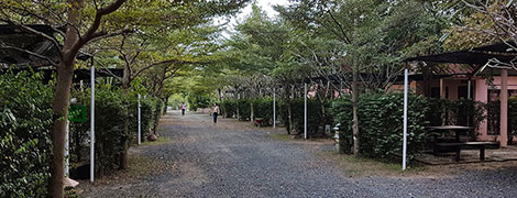 green leaf resort surin