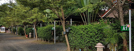 green leaf resort surin