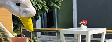 nina home stay nakhon pathom