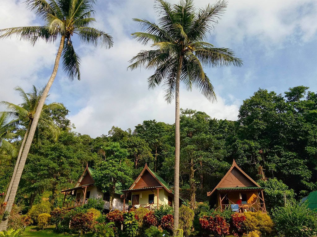 ทีพี ฮัทส์ บังกะโล