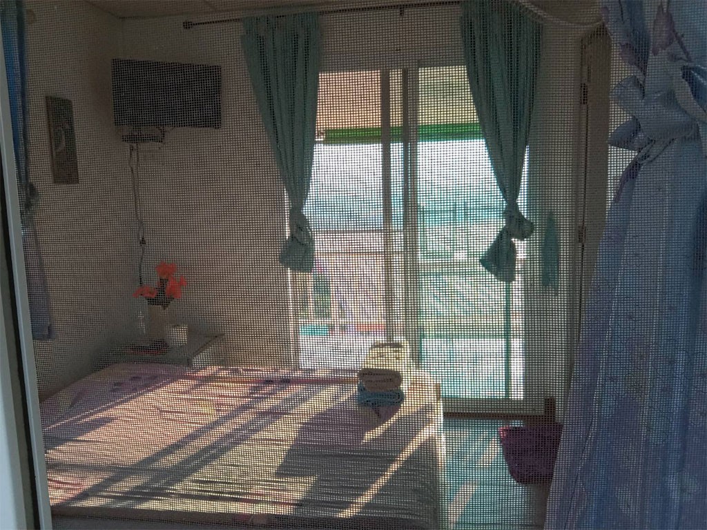 ภูกานต์ดาว เขาค้อ