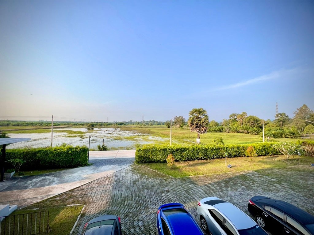 บีทรี