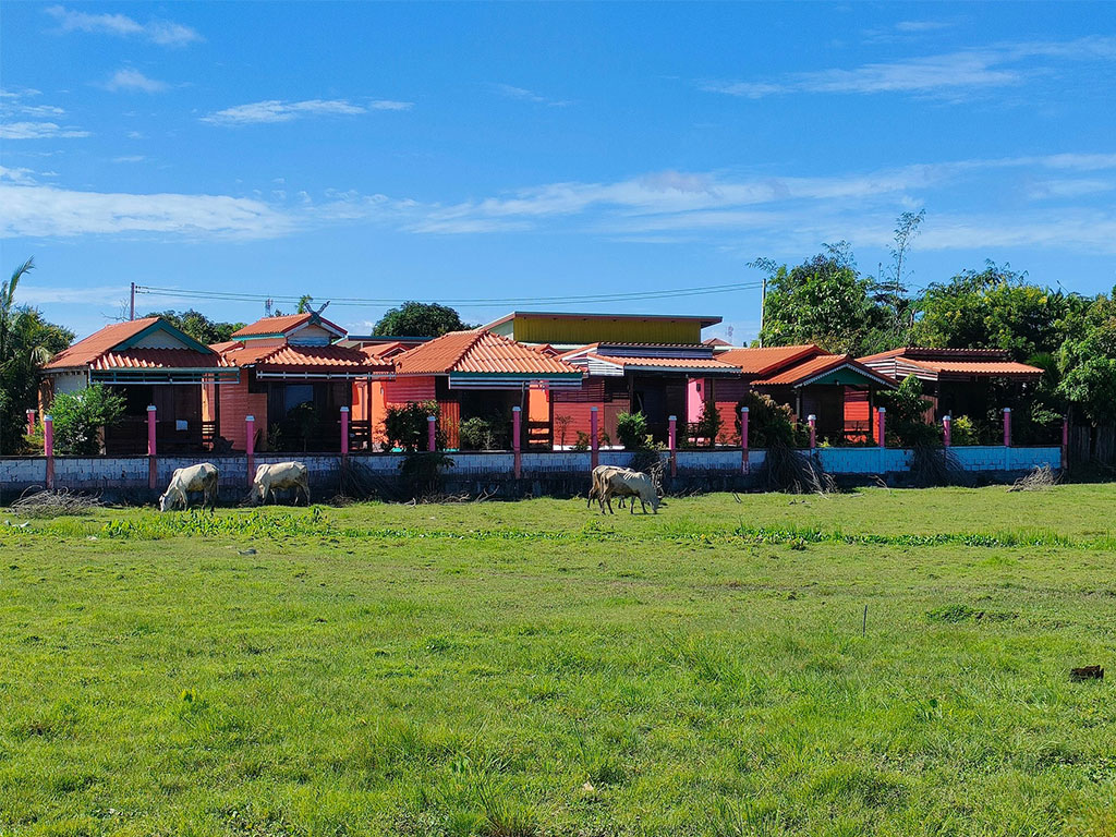 พัชรา รีสอร์ท ริมทุ่ง