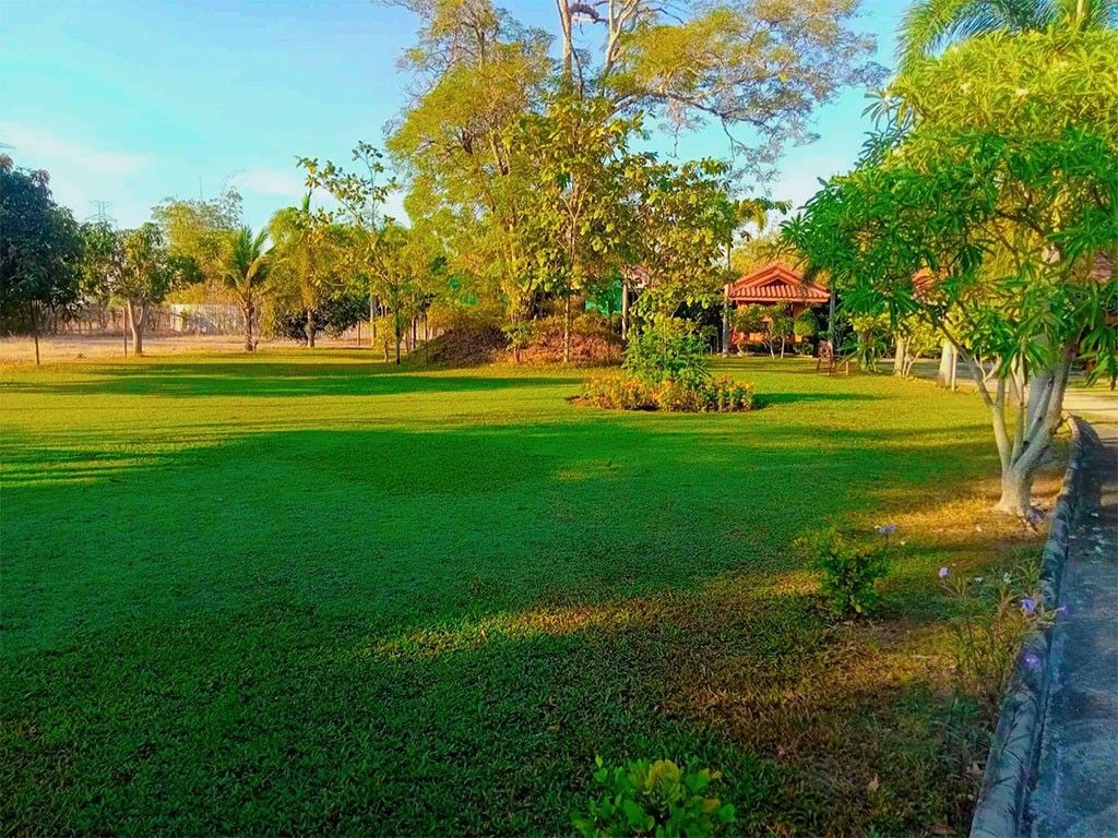 บ้านไม้หอม รีสอร์ท ปลวกแดง