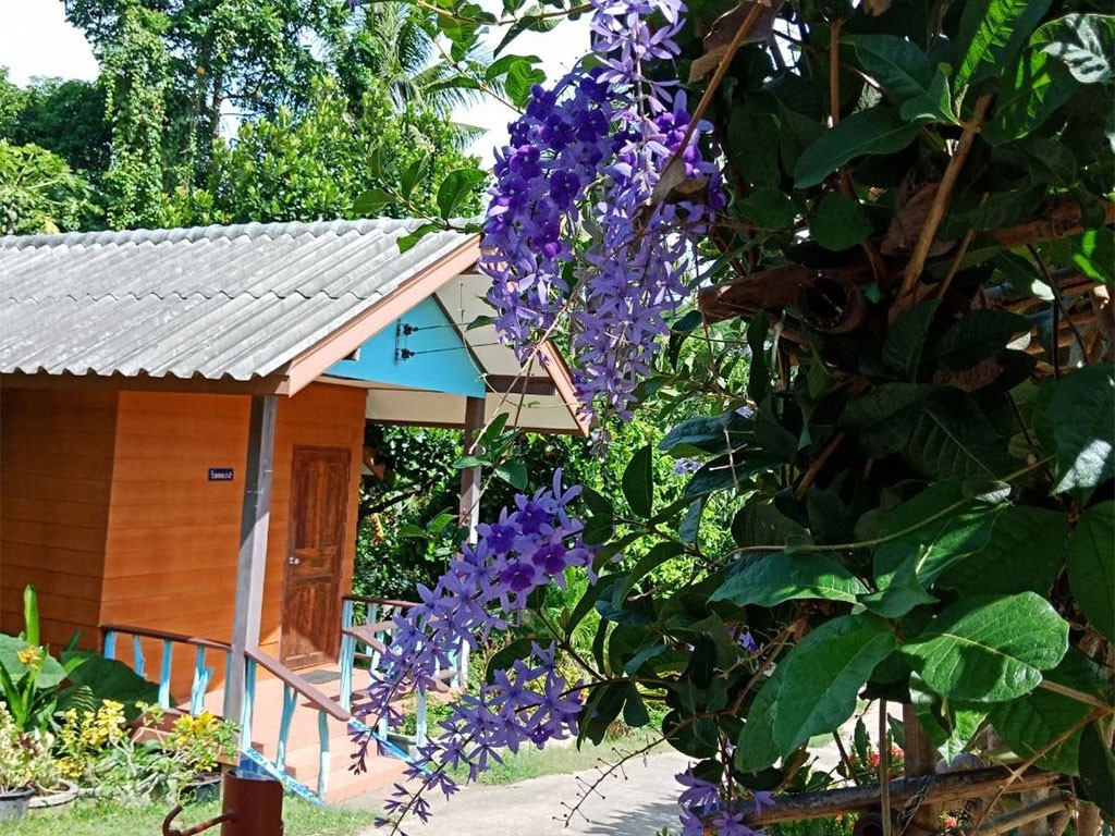 โฮมสเตย์ รีสอร์ต ริมแม่น้ำแควใหญ่