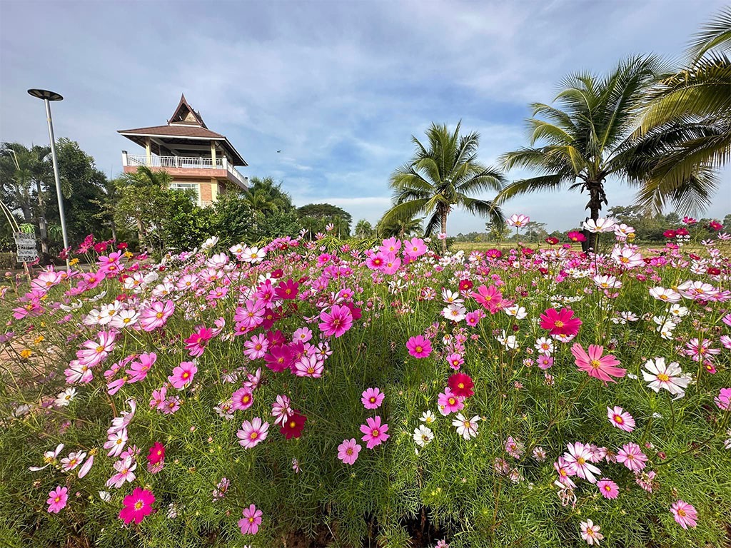 โอเค ฟาร์ม รีสอร์ท