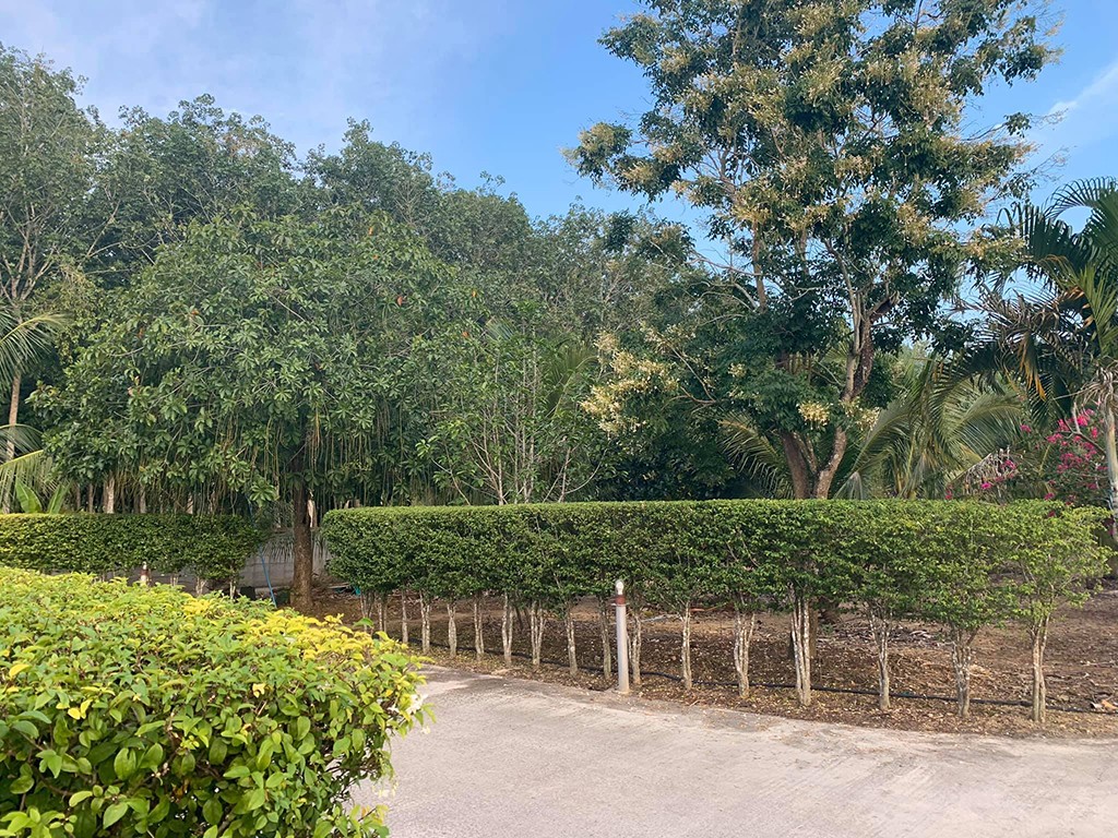 สวนจันทร์ รีสอร์ท พัทลุง