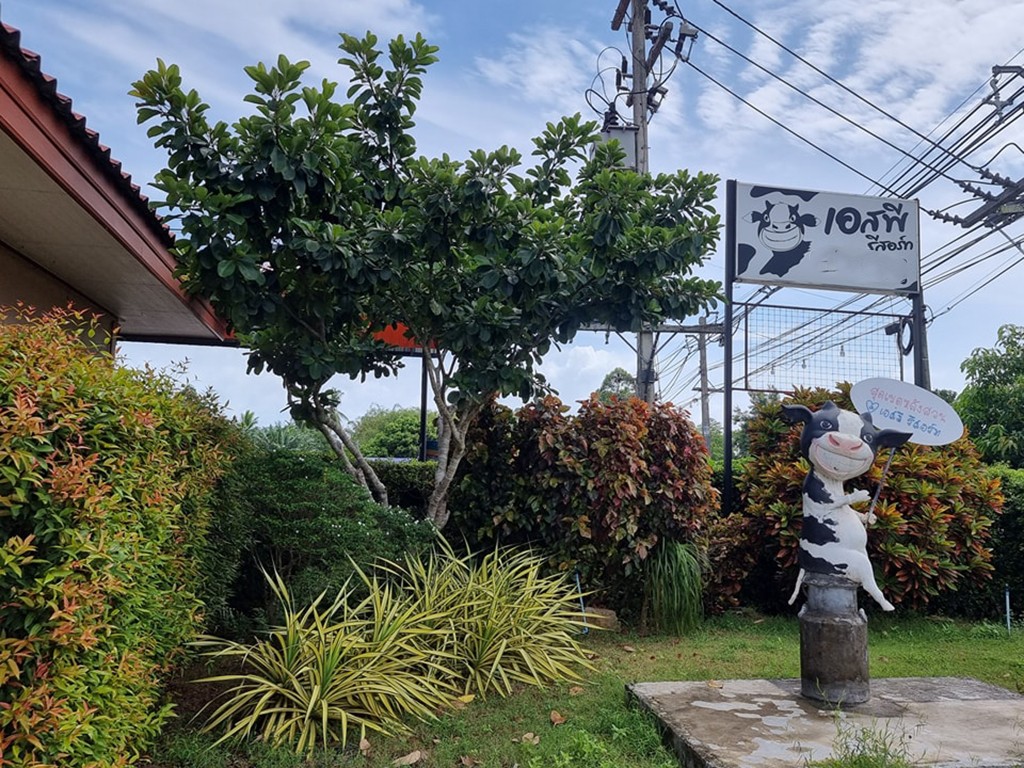 เอสพี รีสอร์ท ชุมพร