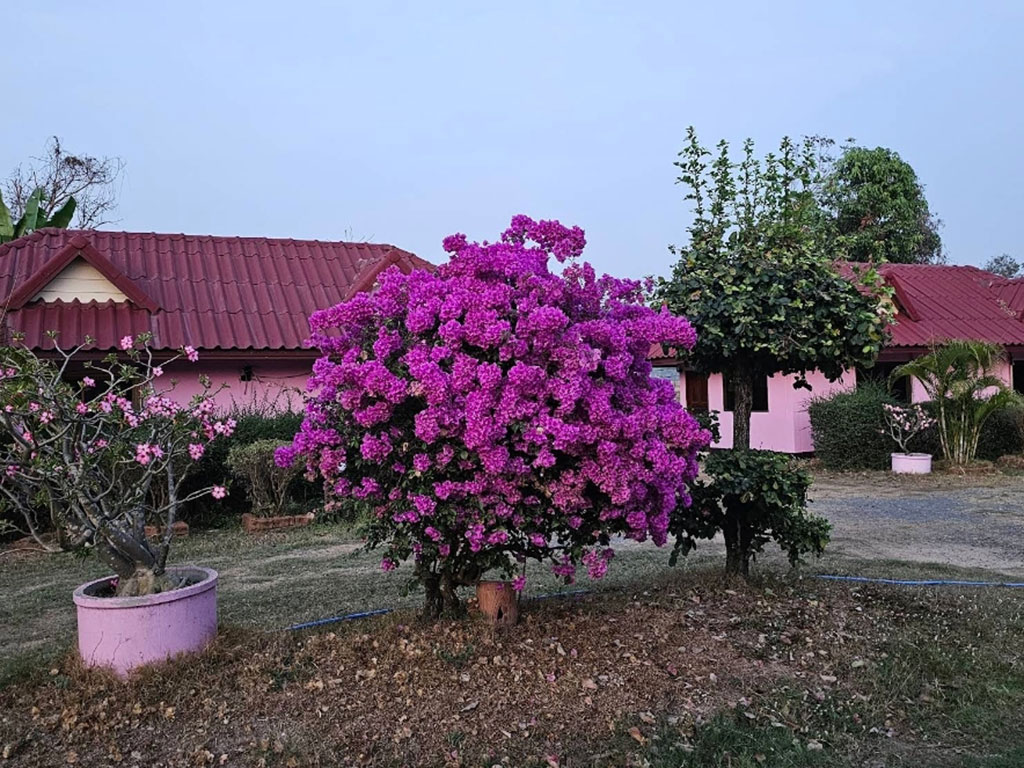 เจพี รีสอร์ท มุกดาหาร