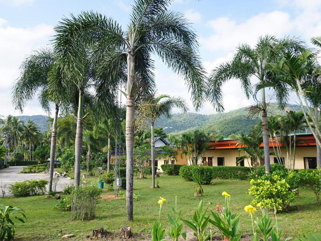 3PN Resorts Samui