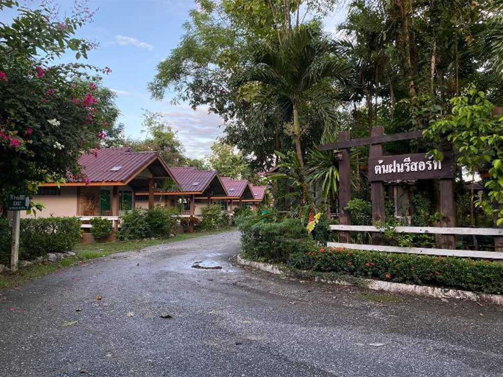 ต้นฝน รีสอร์ท สุโขทัย