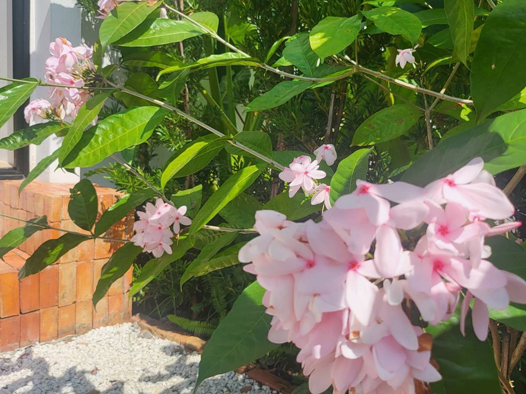 ทรี สเปซ ลิฟวิ่ง