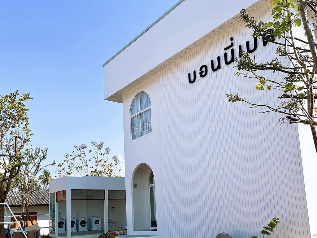 บอนนี่เบด