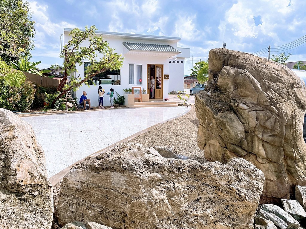 บอนนี่เบด