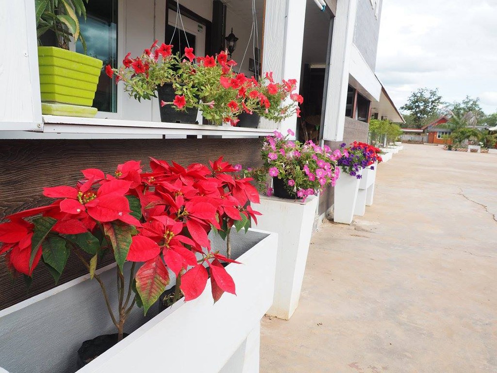 เดอะ เนเจอร์ รีสอร์ท แอนด์ สปา ท่าแร่