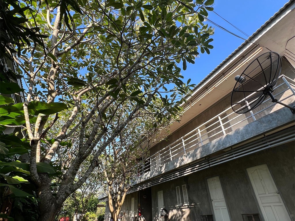 โอเอฟเอส แอคคอมโมเดชั่น