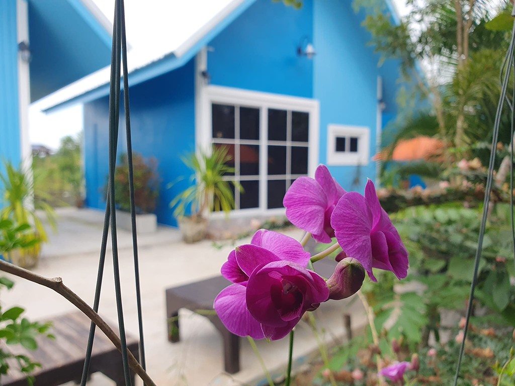 รีสอร์ท คุณชาย