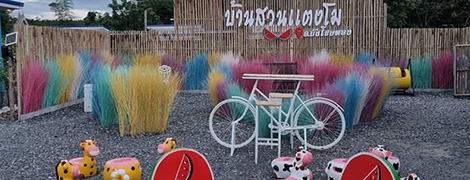 baan suan tangmo resort