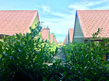 Nature and Green Resort Amphawa