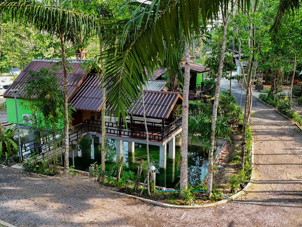 Ingfai Suratthani