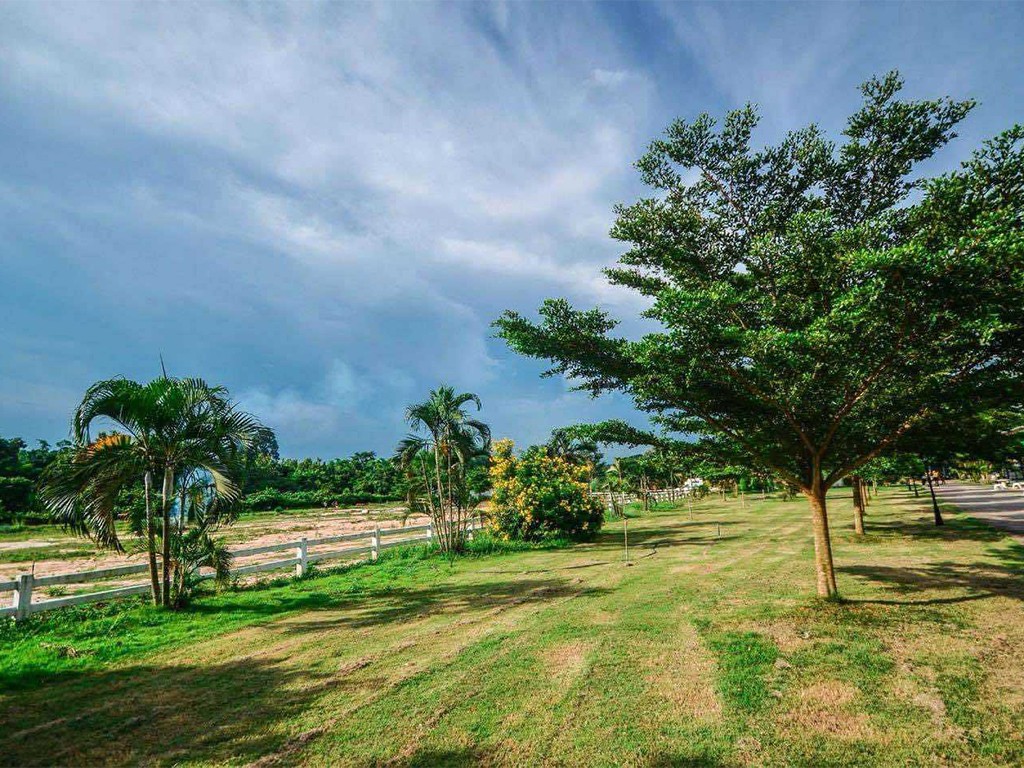 ทุ่งไม้เค็ดฟาร์ม แอนด์ รีสอร์ท