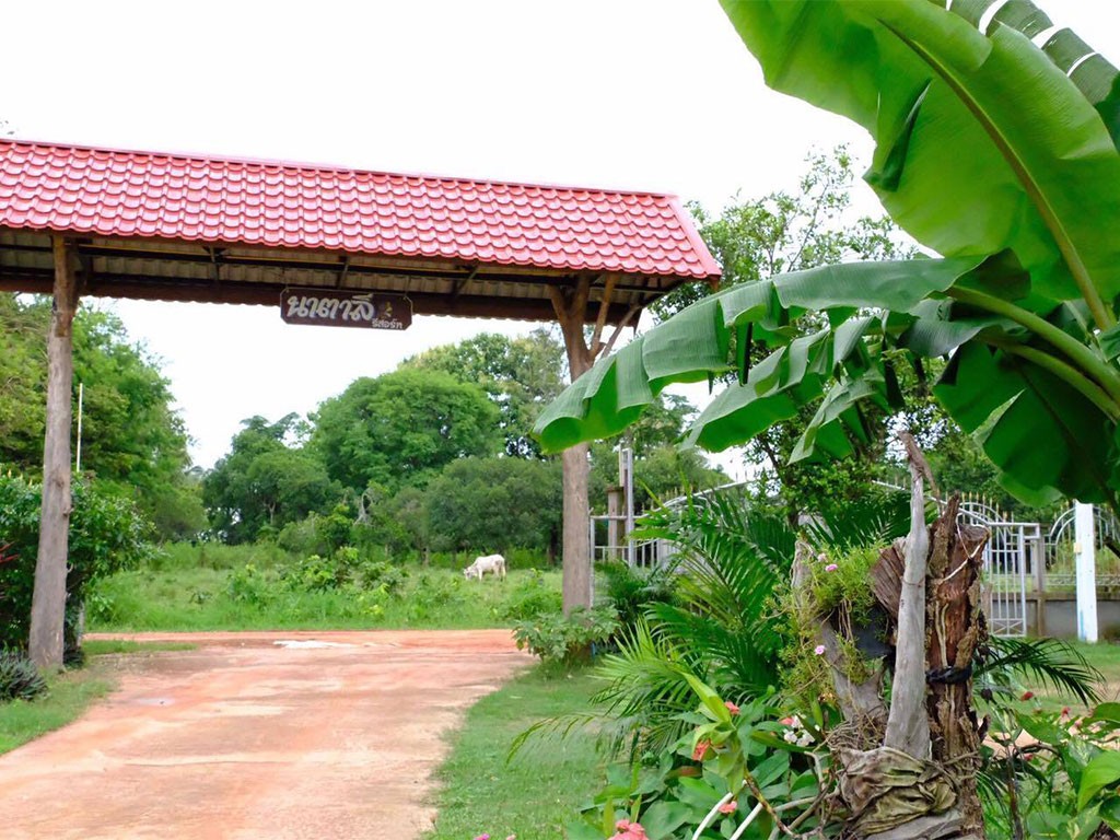 นาตาลี รีสอร์ท