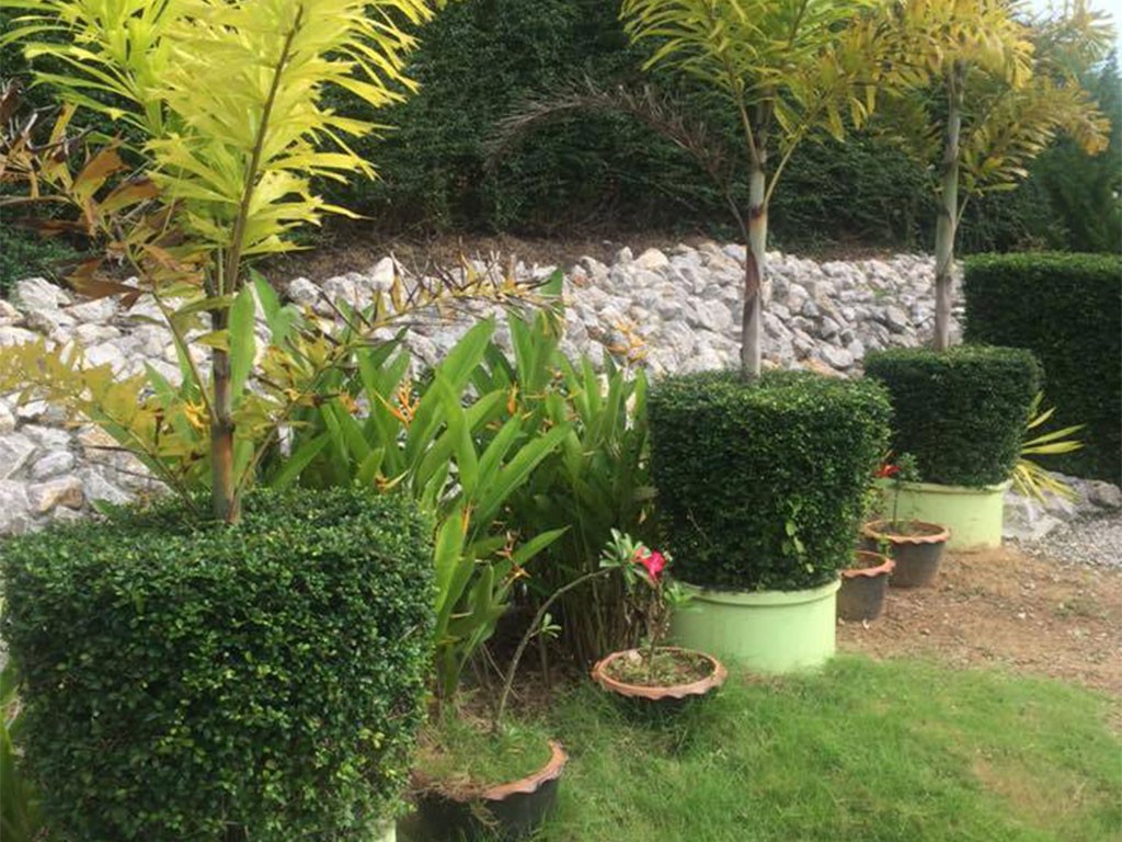 วิภาดี รีสอร์ท