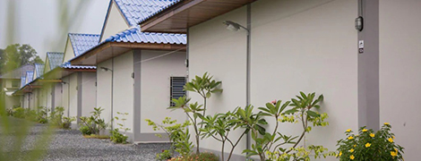 the triple tree resort