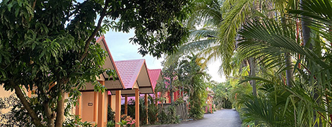 baan suan palm resort