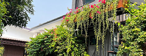 baanpakbuhnga 199 resort