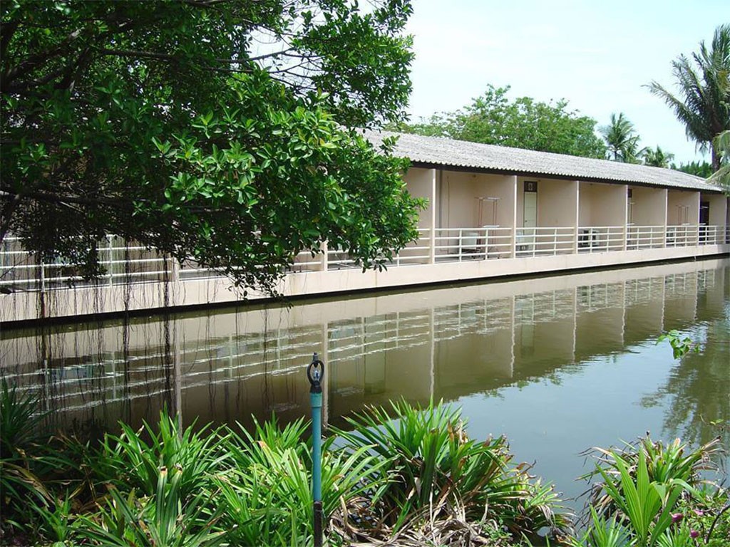 ออร์คิดส์ มหาชัย สมุทรสาคร