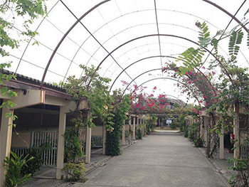 ออร์คิดส์ มหาชัย สมุทรสาคร