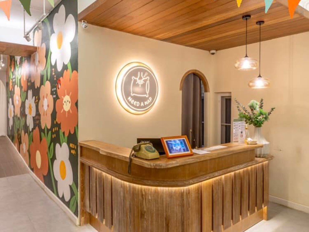 นีด อะ แนป แพร่