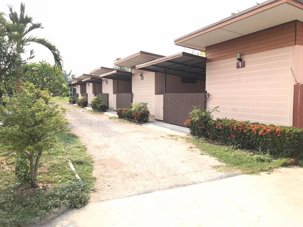 ยายูเพลส