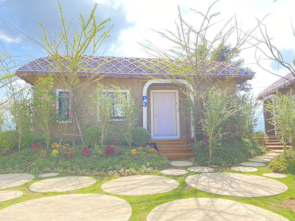 เดอะ แพนดอร่าแคมป์