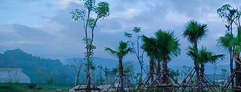 athena glamping khaoyai