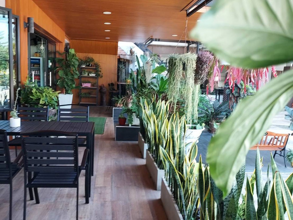 เดอะเซ็พท์ โคราช