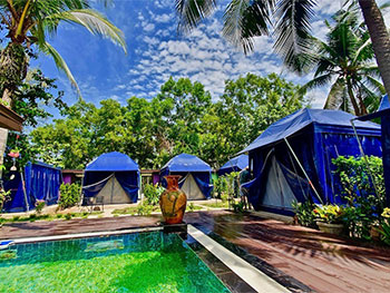 มูนไชน์ เต้นท์ รีสอร์ท